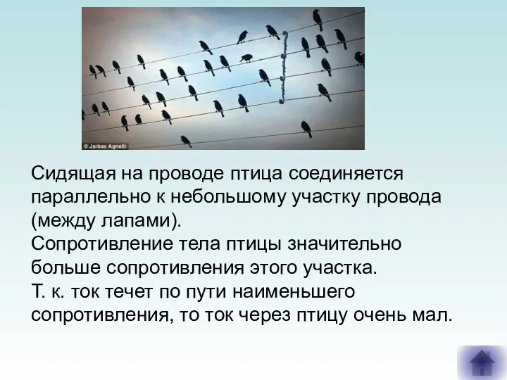 Сидящая на проводе птица соединяется параллельно к небольшому участку провода (между