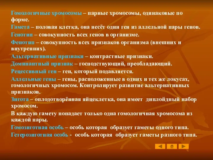 Гомологичные хромосомы – парные хромосомы, одинаковые по форме. Гамета – половая