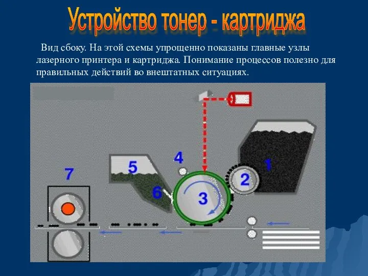 Вид сбоку. На этой схемы упрощенно показаны главные узлы лазерного принтера