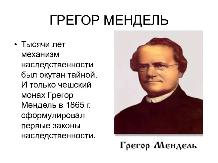 ГРЕГОР МЕНДЕЛЬ Тысячи лет механизм наследственности был окутан тайной. И только