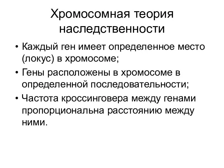 Хромосомная теория наследственности Каждый ген имеет определенное место (локус) в хромосоме;