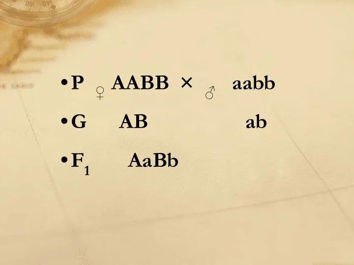 P ♀ AABB × ♂ aabb G AB ab F1 AaBb