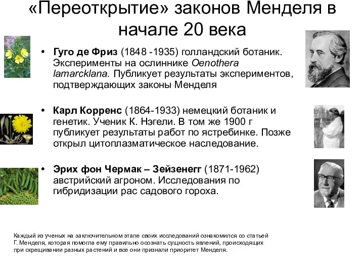 «Переоткрытие» законов Менделя в начале 20 века Гуго де Фриз (1848