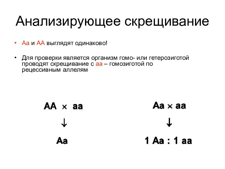 Анализирующее скрещивание Аа и АА выглядят одинаково! Для проверки является организм