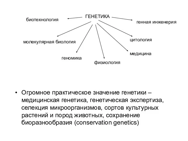 Огромное практическое значение генетики – медицинская генетика, генетическая экспертиза, селекция микроорганизмов,