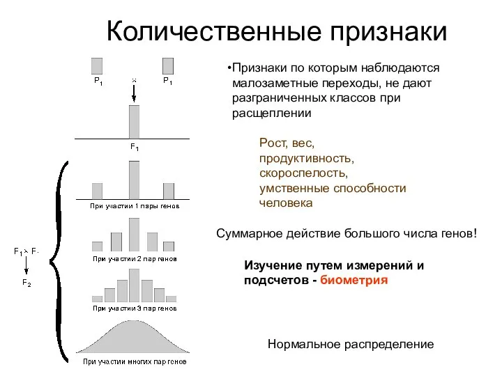 Количественные признаки Признаки по которым наблюдаются малозаметные переходы, не дают разграниченных