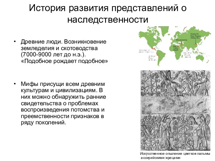 История развития представлений о наследственности Древние люди. Возникновение земледелия и скотоводства