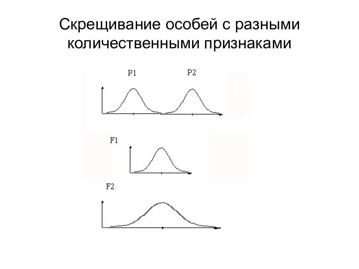 Скрещивание особей с разными количественными признаками