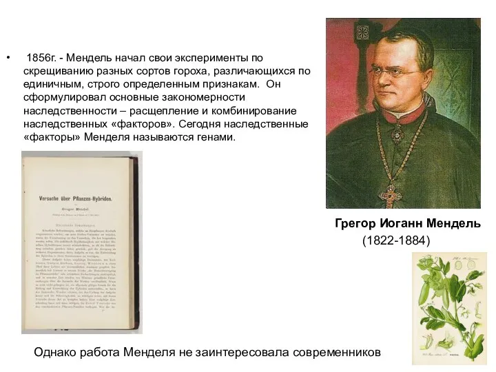 1856г. - Мендель начал свои эксперименты по скрещиванию разных сортов гороха,