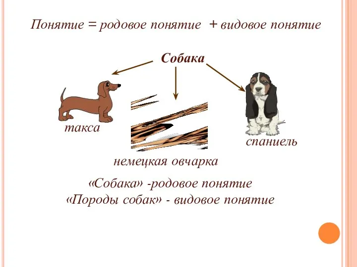 Понятие = родовое понятие + видовое понятие «Собака» -родовое понятие «Породы