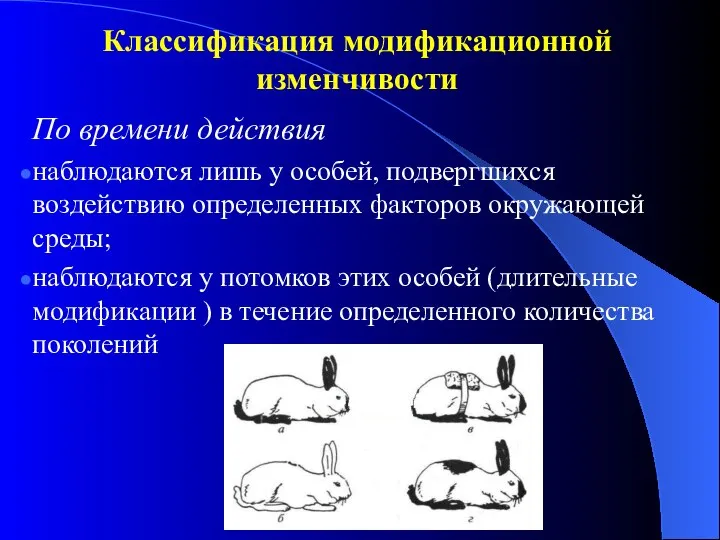 Классификация модификационной изменчивости По времени действия наблюдаются лишь у особей, подвергшихся