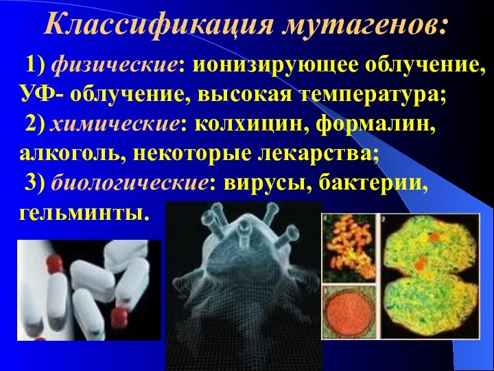 Классификация мутагенов: 1) физические: ионизирующее облучение, УФ- облучение, высокая температура; 2)