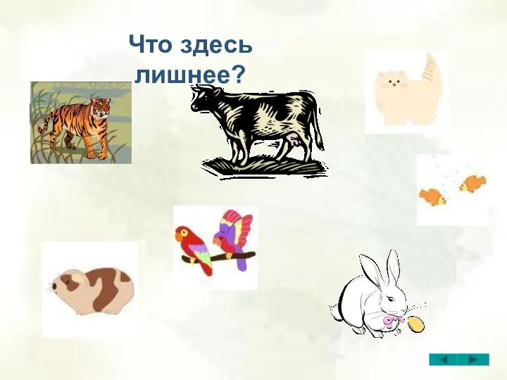 Что здесь лишнее? Что здесь лишнее?