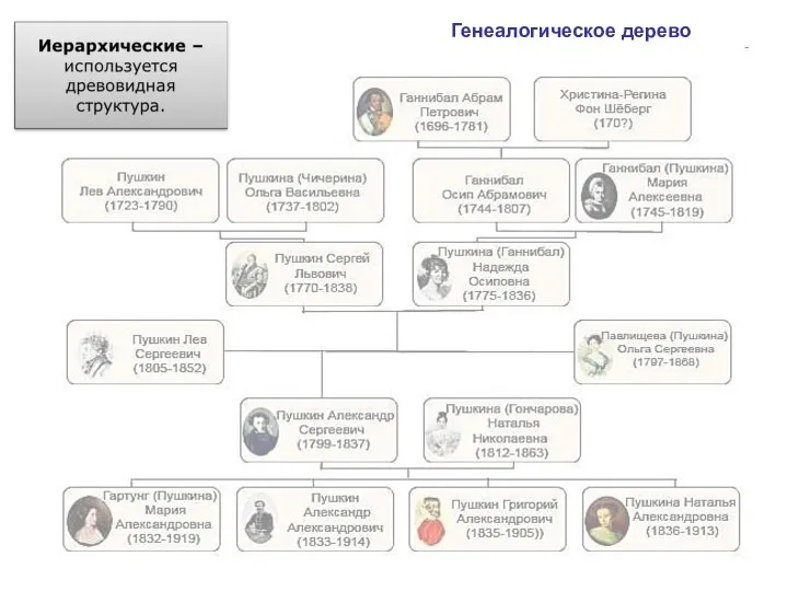 Генеалогическое дерево