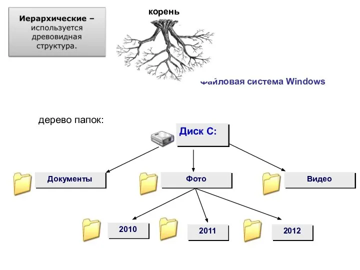 Файловая система Windows