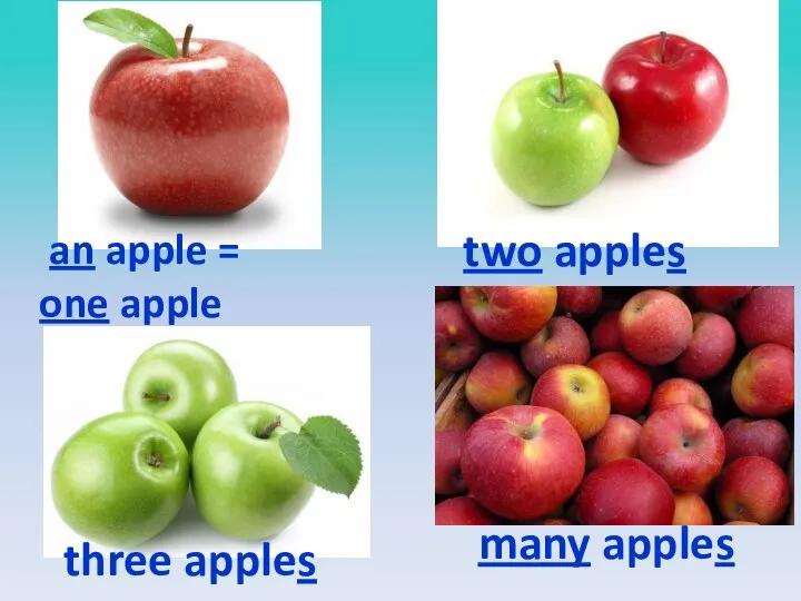 two apples an apple = one apple three apples many apples