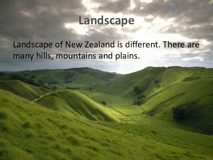 Landscape Landscape of New Zealand is different. There are many hills, mountains and plains.