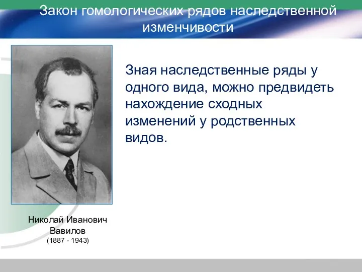 Николай Иванович Вавилов (1887 - 1943) Зная наследственные ряды у одного