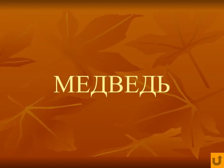 МЕДВЕДЬ