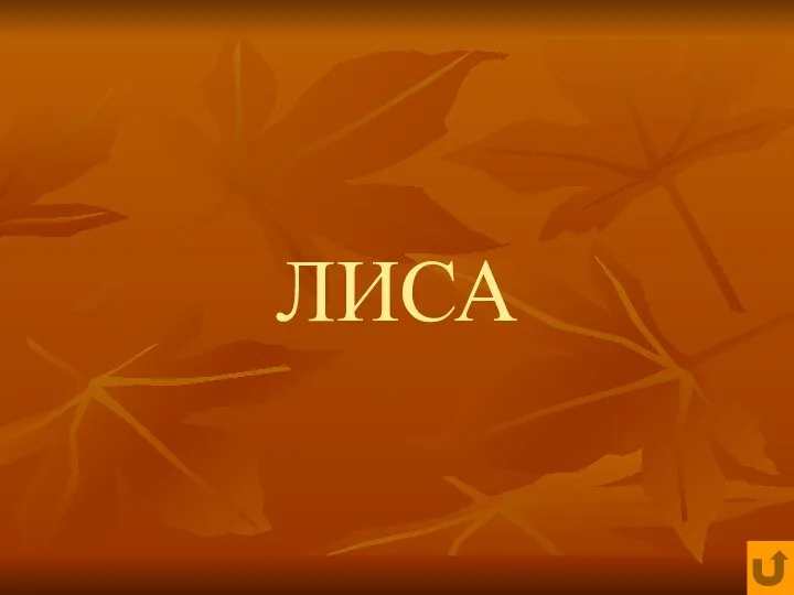 ЛИСА