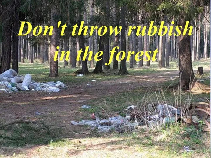 Don't throw rubbish in the forest