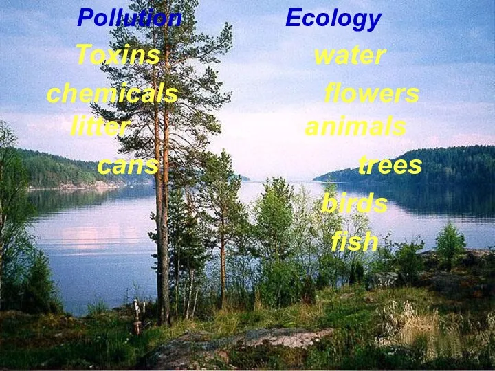 Pollution Ecology Toxins water chemicals flowers litter animals cans trees birds fish