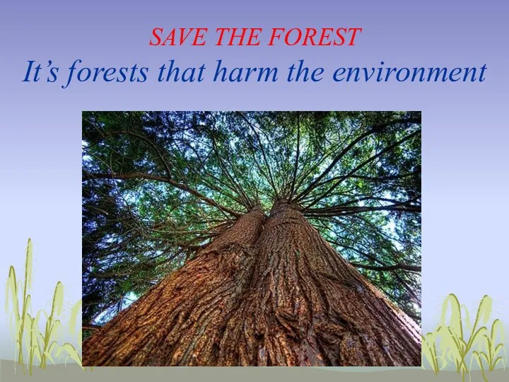 SAVE THE FOREST It’s forests that harm the environment