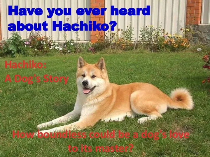 Hachiko: A Dog's Story How boundless could be a dog's love