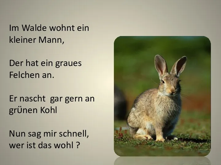 Im Walde wohnt ein kleiner Mann, Der hat ein graues Felchen