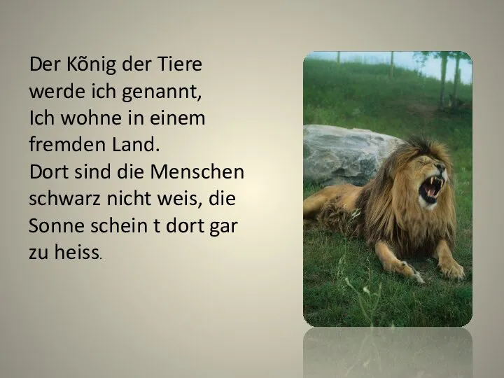 Der Kõnig der Tiere werde ich genannt, Ich wohne in einem