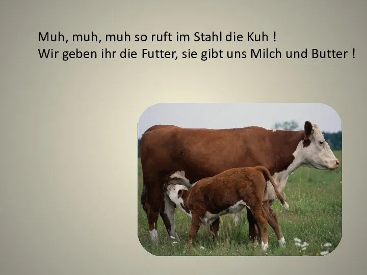 Muh, muh, muh so ruft im Stahl die Kuh ! Wir