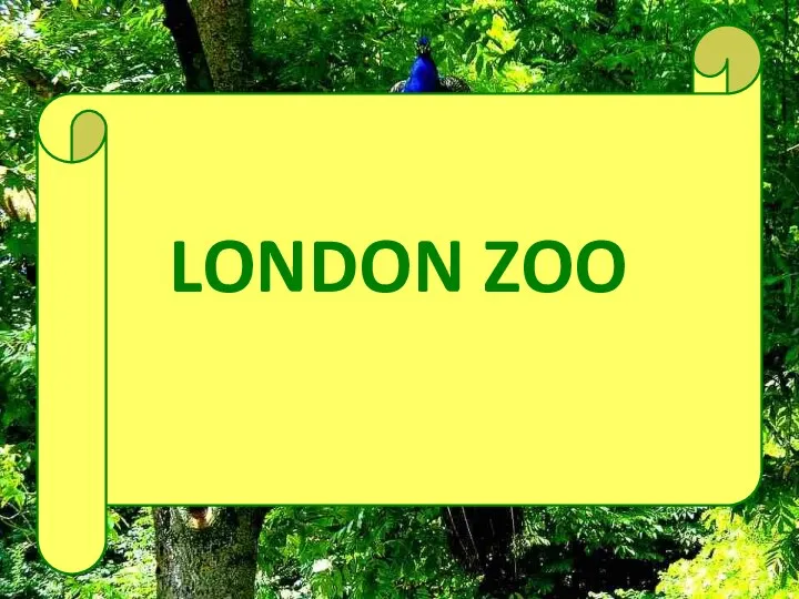 LONDON ZOO