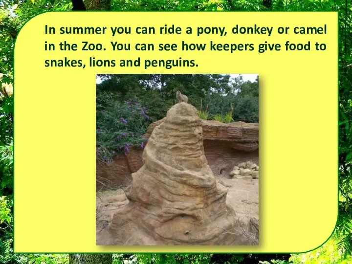 In summer you can ride a pony, donkey or camel in