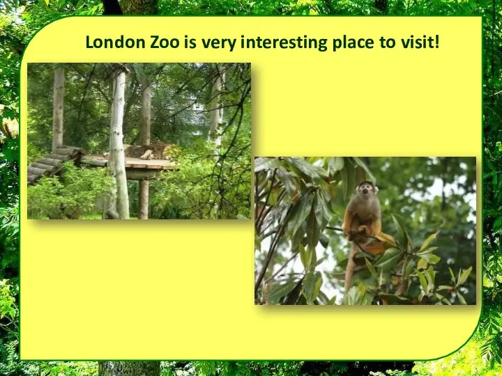 London Zoo is very interesting place to visit!