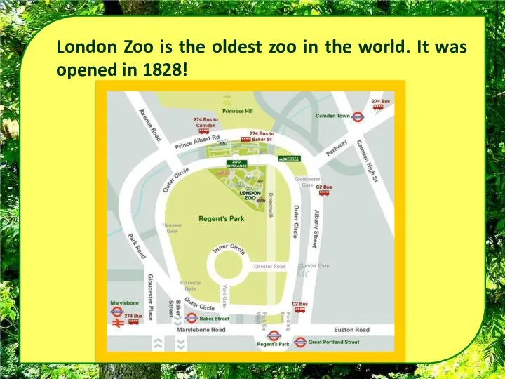 London Zoo is the oldest zoo in the world. It was opened in 1828!