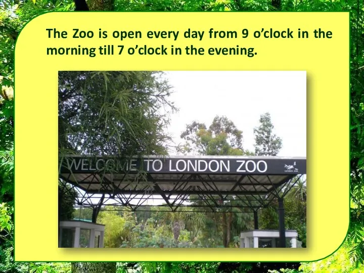 The Zoo is open every day from 9 o’clock in the