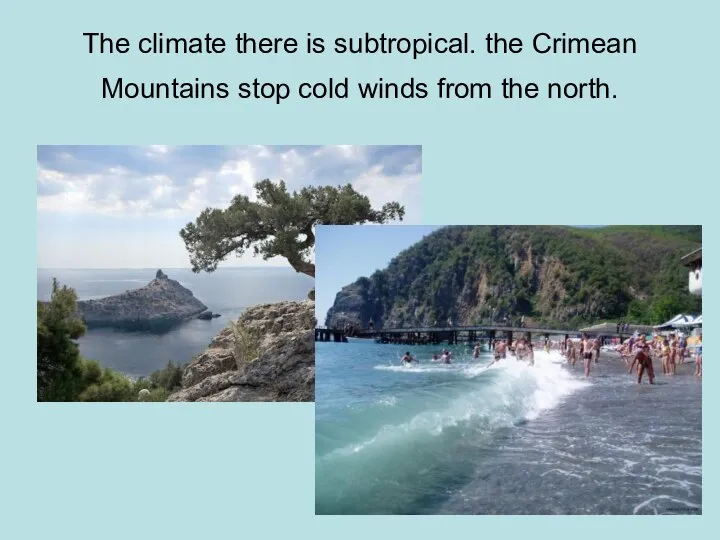 The climate there is subtropical. the Crimean Mountains stop cold winds from the north.