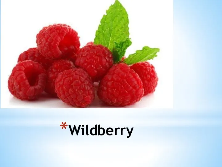 Wildberry