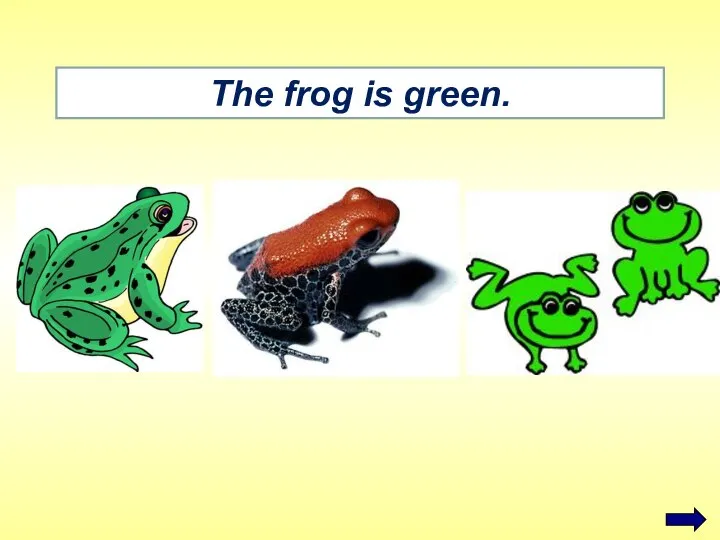 The frog is green.