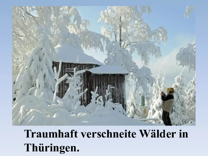 Traumhaft verschneite Wälder in Thüringen.