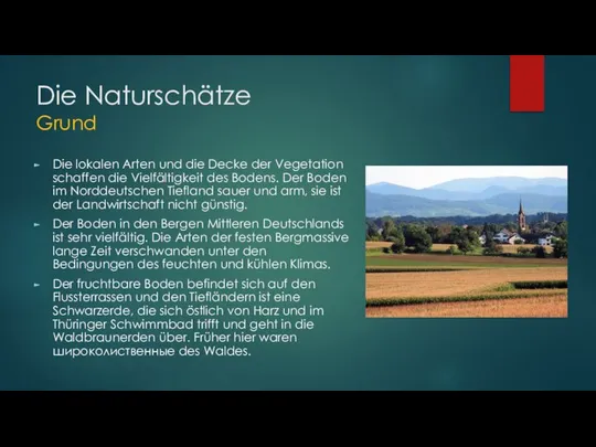 Die Naturschätze Grund Die lokalen Arten und die Decke der Vegetation