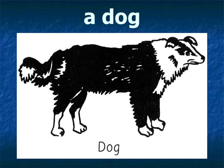 a dog