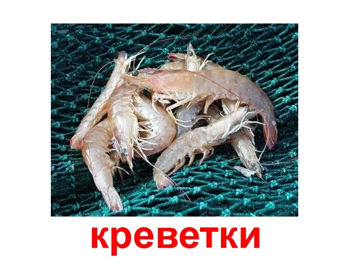 креветки