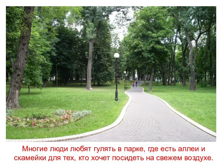 Многие люди любят гулять в парке, где есть аллеи и скамейки