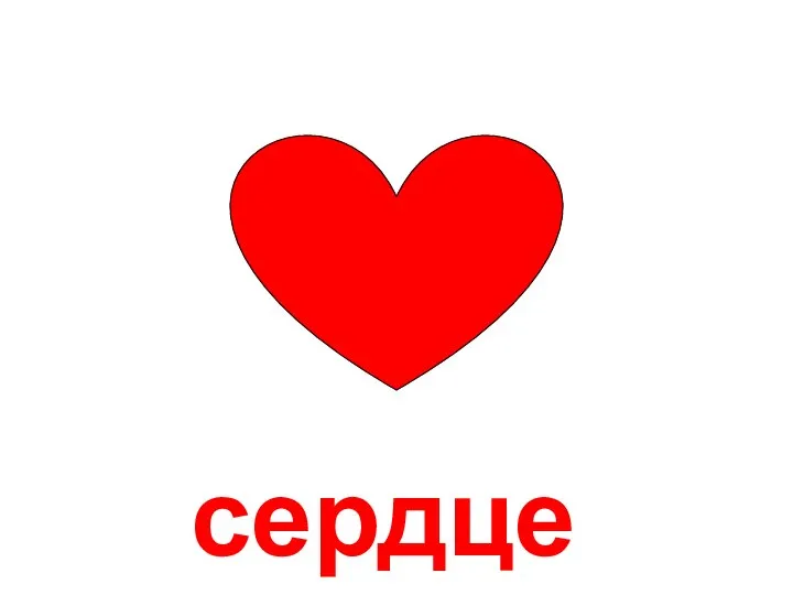 сердце