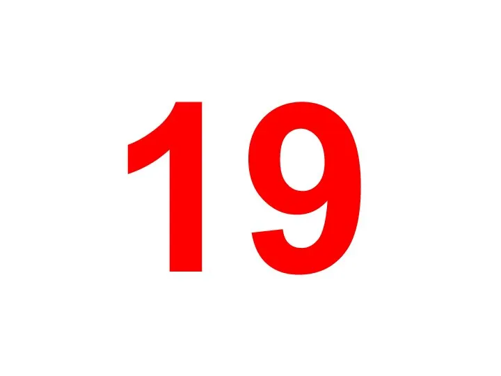 19