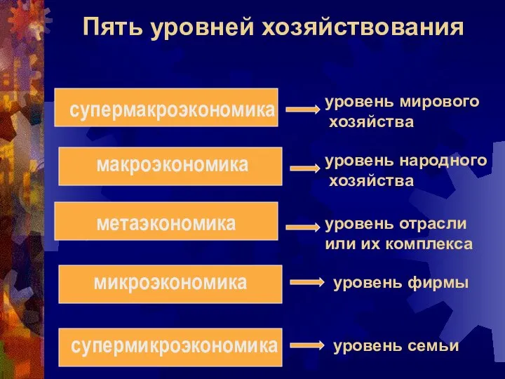 Пять уровней хозяйствования супермакроэкономика макроэкономика метаэкономика микроэкономика супермикроэкономика уровень семьи уровень