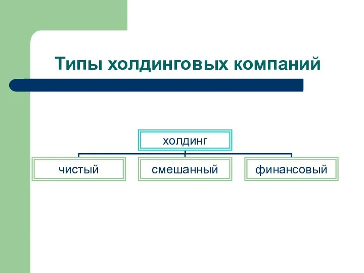 Типы холдинговых компаний