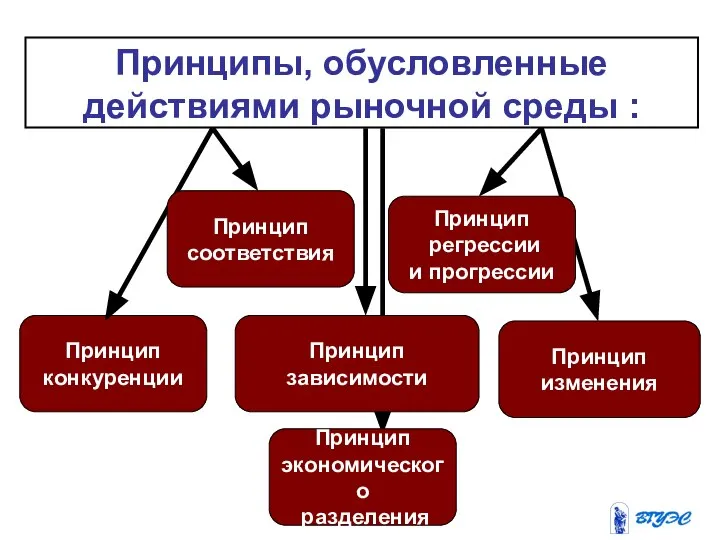 Принцип конкуренции Принцип зависимости Принцип изменения Принципы, обусловленные действиями рыночной среды