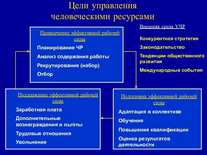 Цели управления человеческими ресурсами Привлечение эффективной рабочей силы Планирование ЧР Анализ